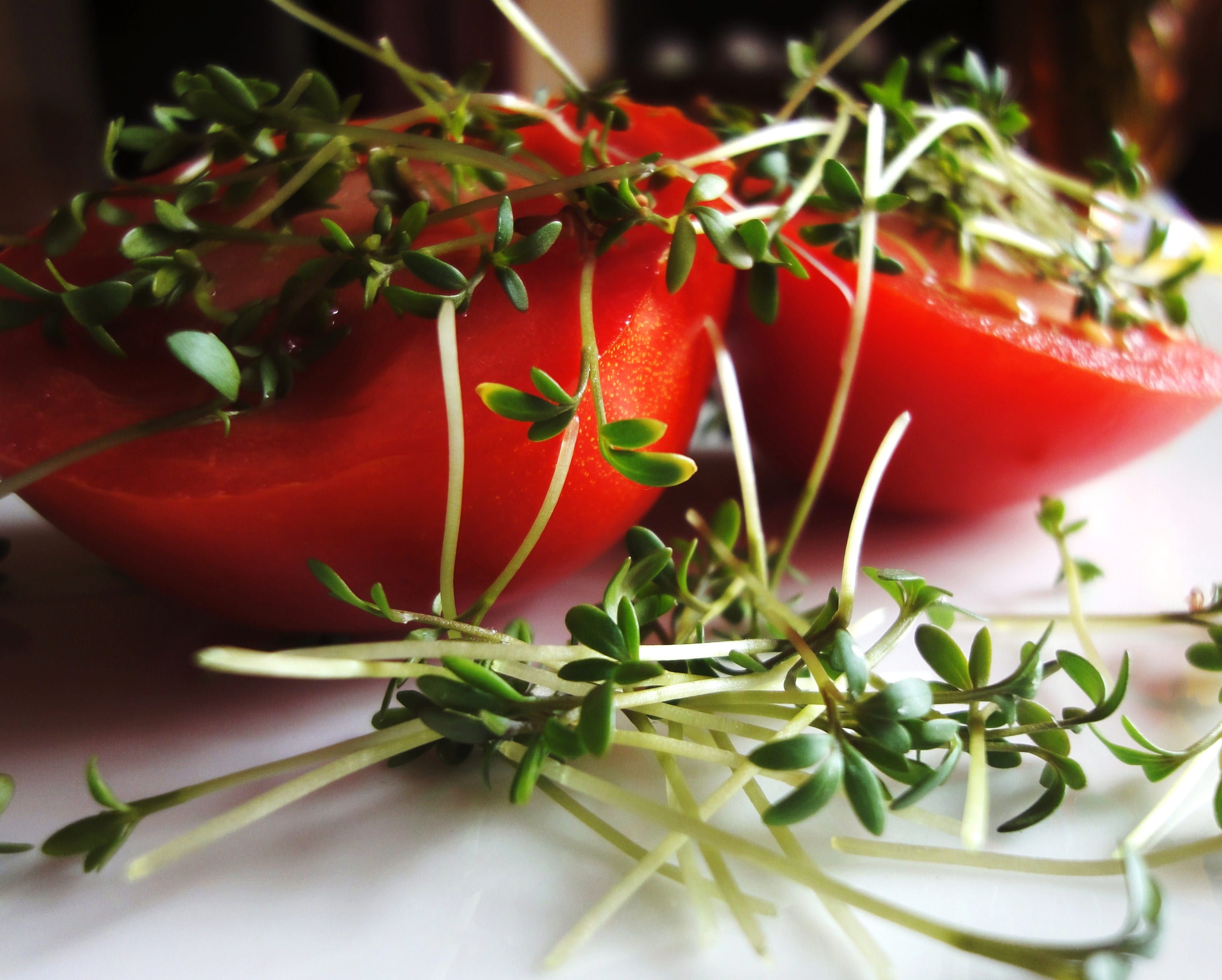 locker-leicht-dreieich-ernaehrung-coaching-august-2017 tomaten-kresse